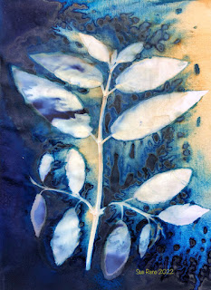 Sue Reno_wet cyanotype_image 968