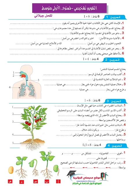 تقويم تشخيصي مرفق بالحل النموذجي في مادة العلوم الطبيعية سنة اولى متوسط الجيل الثاني