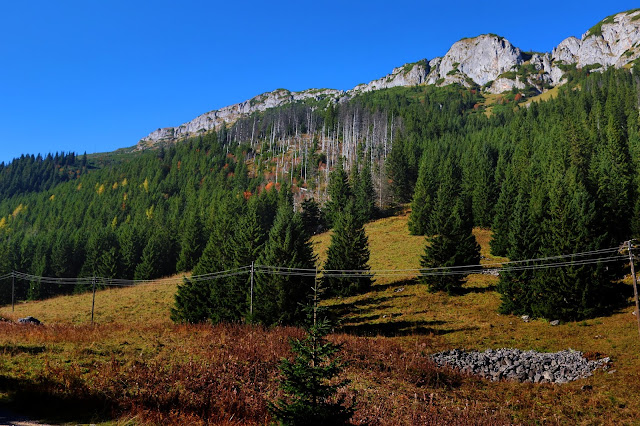 Hala Kondratowa - widok na Długi Giewont