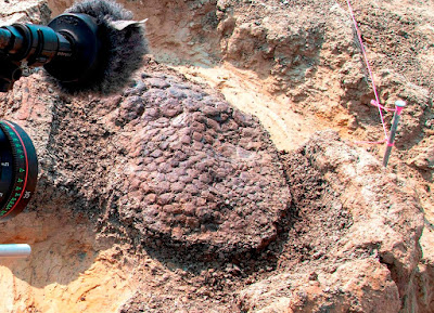 Paleontologists Find Perfectly Preserved Dinosaur Fossils From the Day of the Asteroid Impact