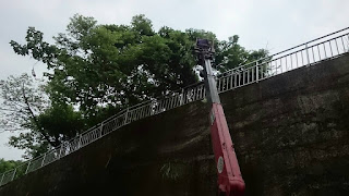 提供樹木修剪及鋸樹服務的桃園清潔公司及新竹清潔公司