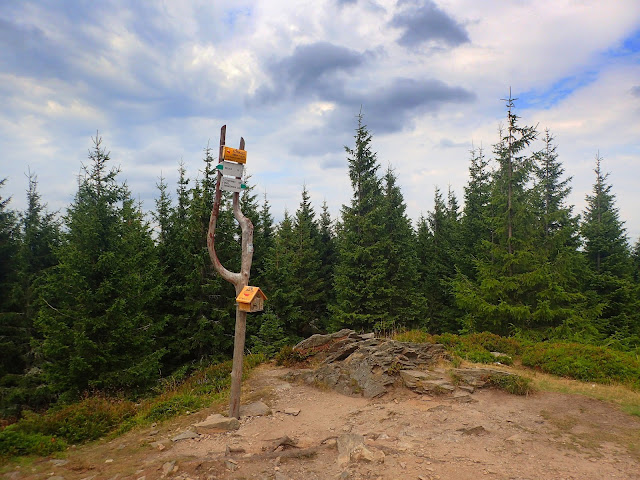 Kowadło (989 m n.p.m.) w Górach Złotych