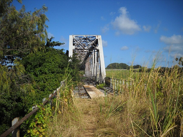 DSCN6762
