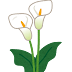 【印刷可能】 カラー 花 イラスト 983233-リアル カラー 花 イラスト