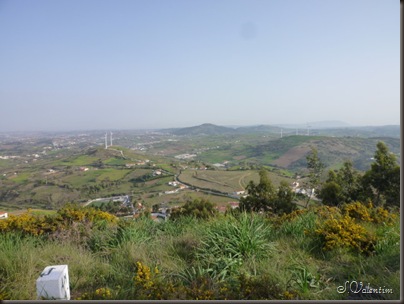 P1140487