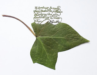 Green Pear Diaries, arte, tallar, hojas, Lorenzo Manuel Durán Silva