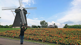 花博記念公園 風車