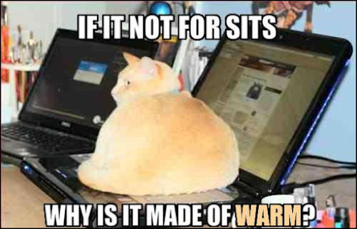 IF NOT FOR SITS WHY IS IT MADE OF WARM?
