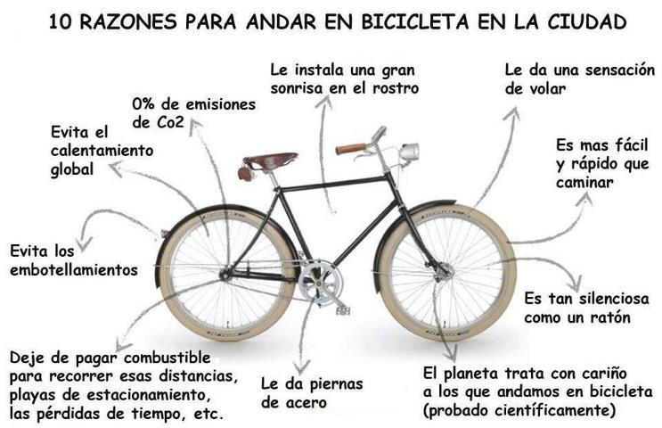 Blog de bicicletas