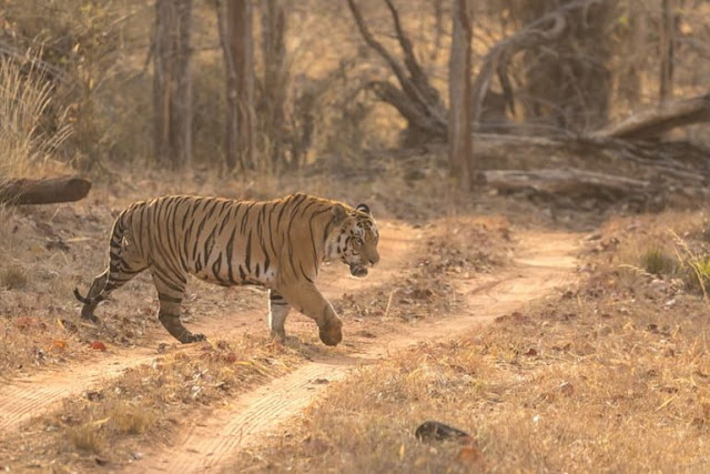 Nagarhole National Park