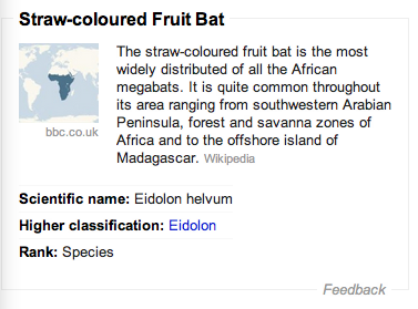 Fruitbat