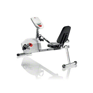 Schwinn A20 Recumbent Bike