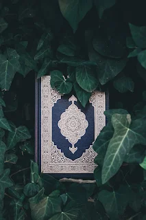 قرآن مجید کی روشنی میں