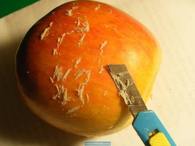 Be Careful while eating apples