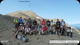 Nº  (61)