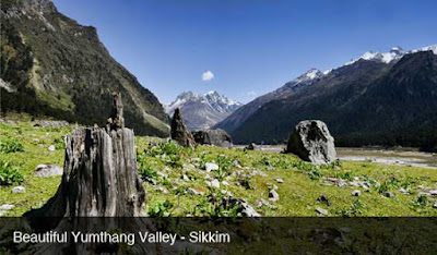 Yumthang Valley