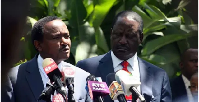 Raila and Kalonzo in 2027 elections preparations