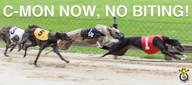 Greyhound Racing