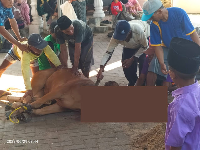 Tata Cara Berkurban Hari Raya Idul Adha Di Masjid Al-Munawarah Dusun Duko Desa Tanjung