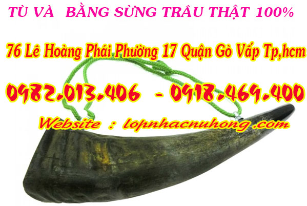 guitar binh tan 1