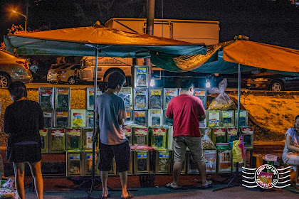 paya terubong night market