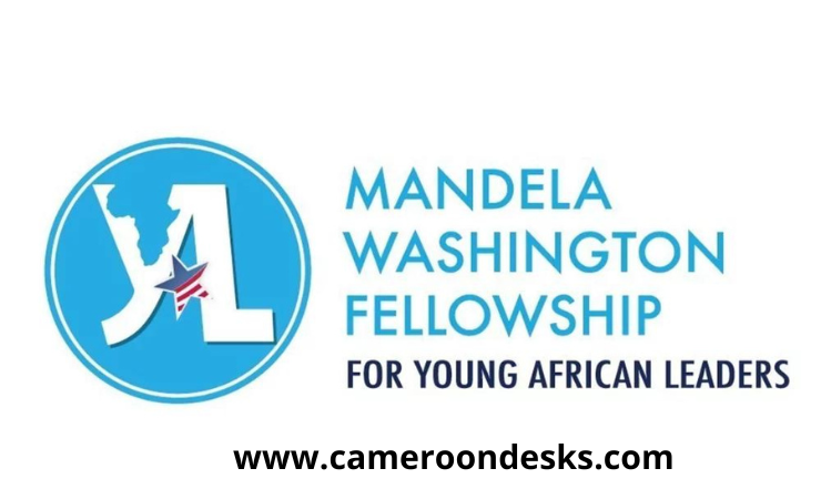 Mandela Washington Readers Pour Les Demandes De Bourse 2024