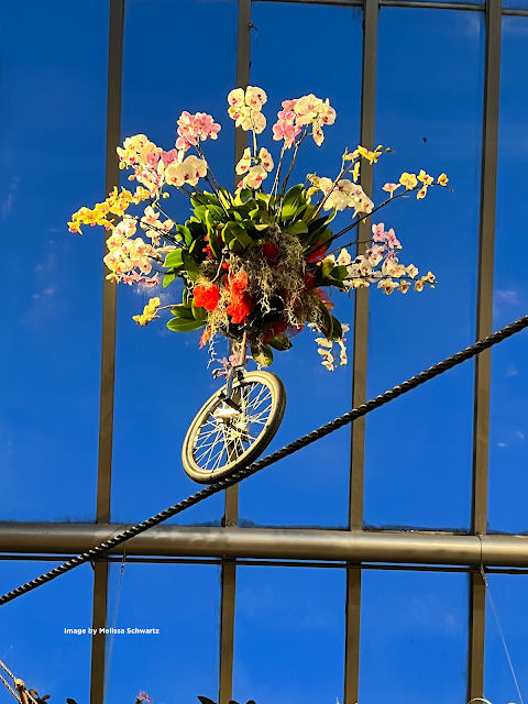 A unicycle full of yellow, pink, white, and orange orchids dangled above us upon a tightrope in a greenhouse during The Orchid Show of Wonders at Chicago Botanic Garden.