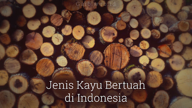 Jenis-jenis Kayu Bertuah di Indonesia