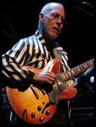 Larry Carlton 335 (2)