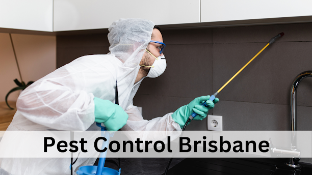 Pest Control Brisbane