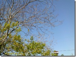 DSCF0004