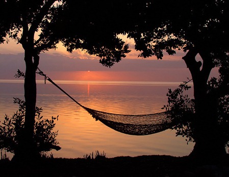 sunkissed hammock