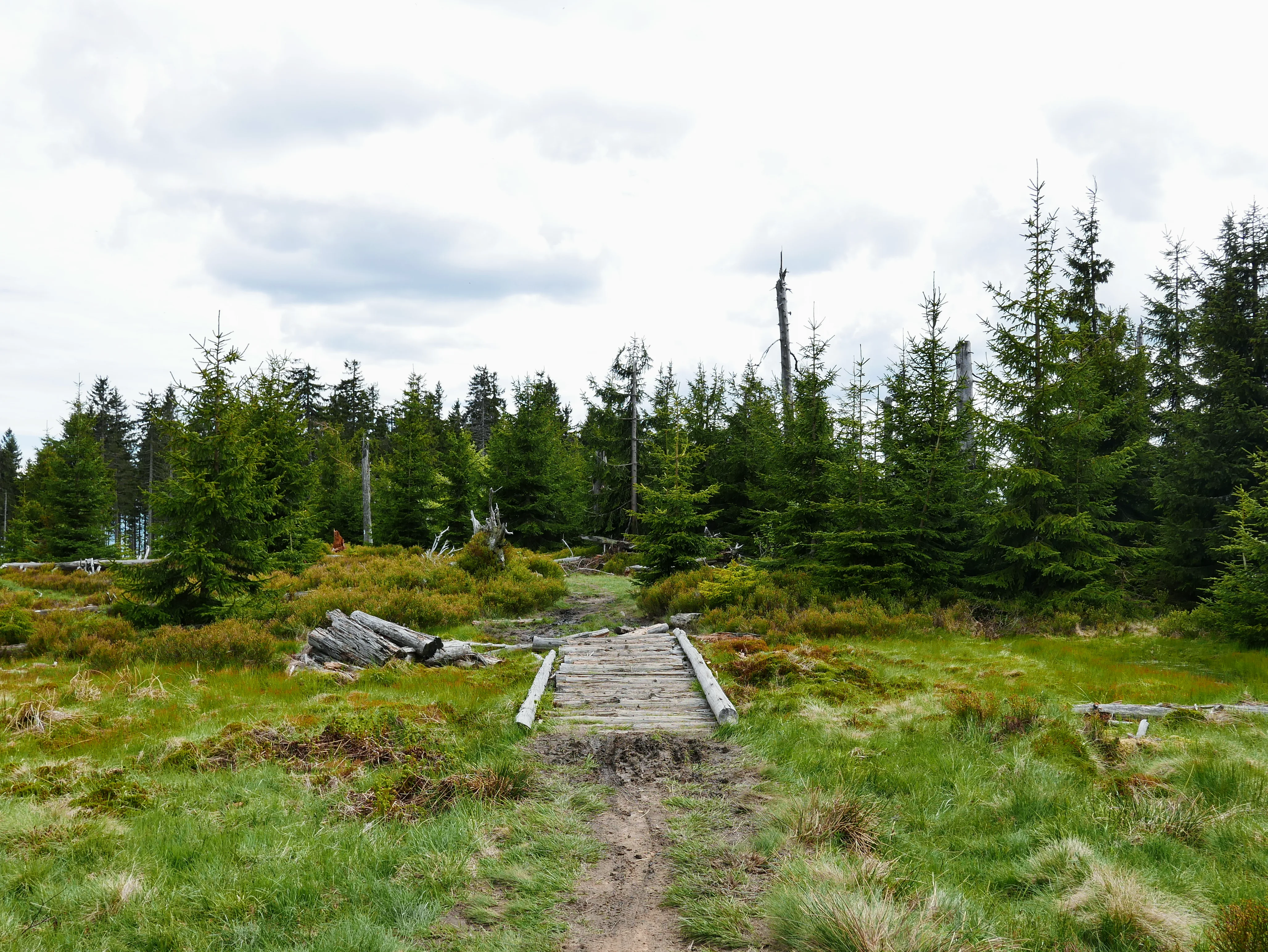 Beskid Żywiecki: Schronisko PTTK na Rysiance - Romanka 1366  m n.p.m.