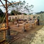View album