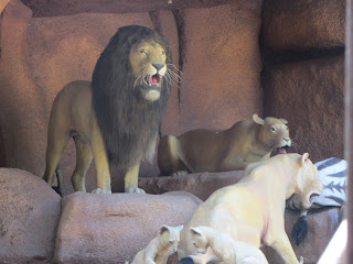 Lion Den Jungle Cruise Magic Kingdom Walt Disney World