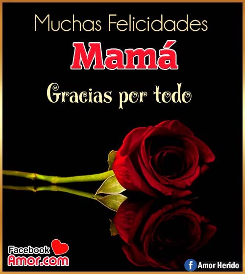 rosa para mamá