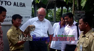 Desa di Jawa Tengah Pekerjakan Burung Hantu untuk Membasmi Tikus