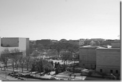 DSC_0862-1