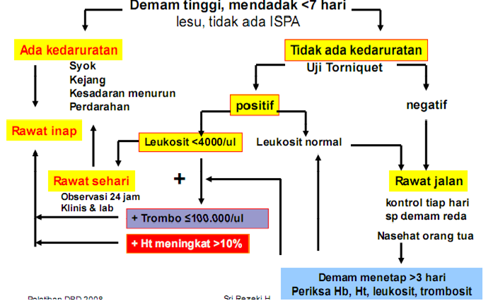 Demam Berdarah Dengue IMM Karanganyar