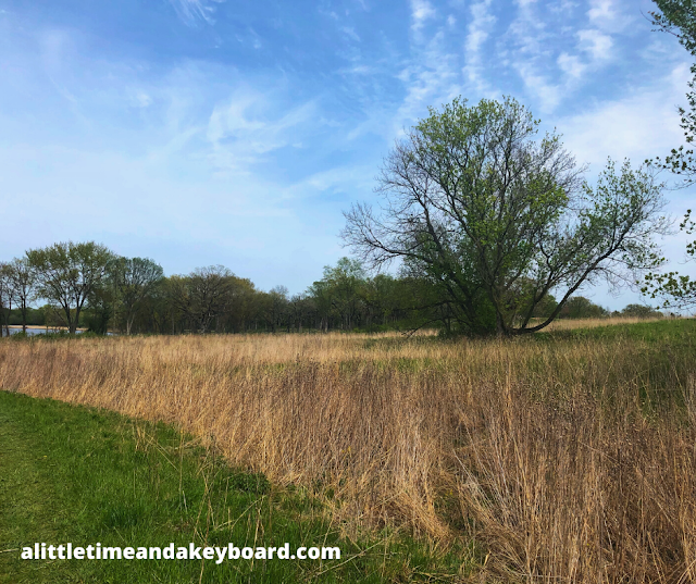 Sunny skies add to the beautiful landscape of Grassy Lake Forest Preserve.