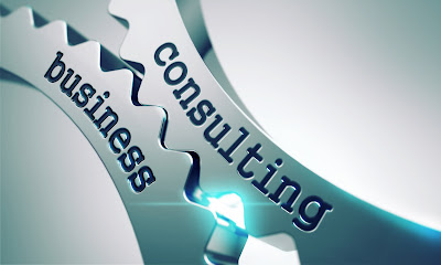 Business consultancy services