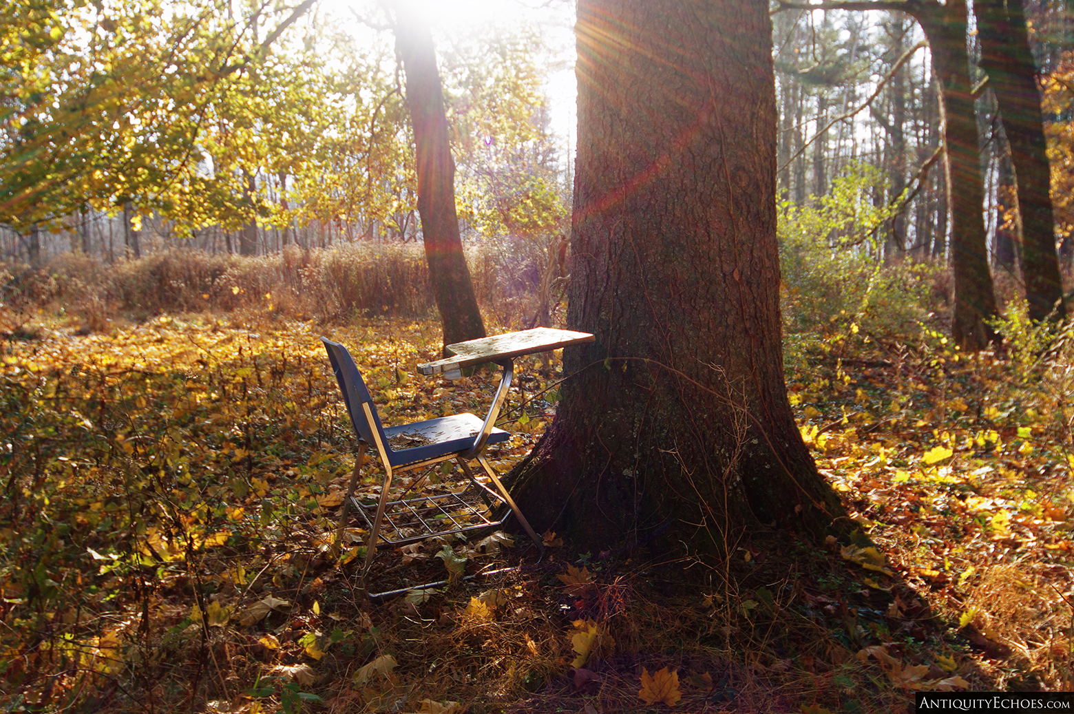 Walpack Valley Environmental Education Center - Nature is a Classroom