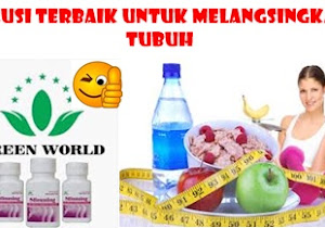 Diet Yang Sehat Aman Dan Tanpa Efek Samping