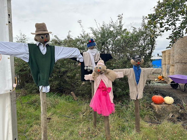 brocksbushes pumpkin patch