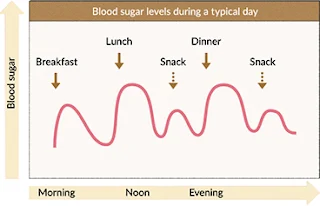 Blood Sugar Levels in a Typical Day