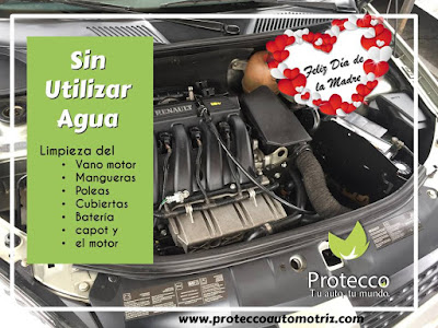  Limpieza de Motor en Seco Protecco Automotriz