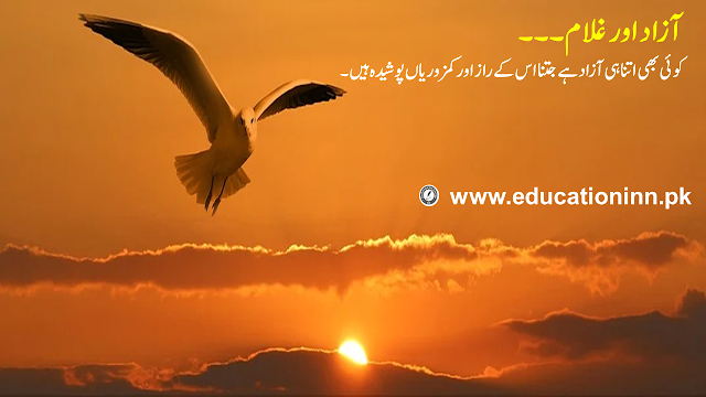 کہاوتیں Quotes