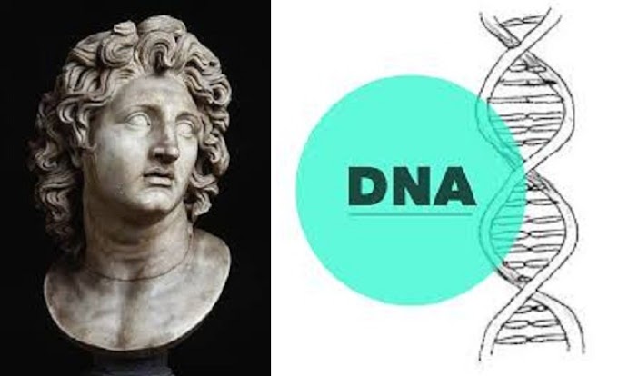  Γιατί άραγε δεν δέχονται οι ΠΓΔΜίτες σύγκριση με το DNA τάφων της Βεργίνας;