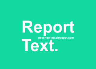 Pengertian dan Contoh Teks Report Bahasa Inggris-Report Text