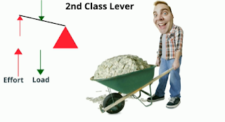 2nd class lever
